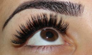 valoucils_AUR_152047